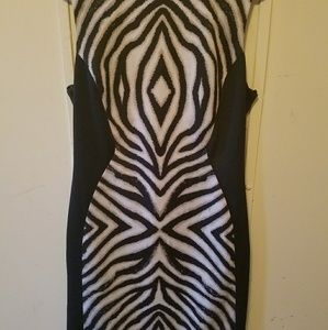 Animal Print Dress